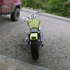 Harley Davidson late shovel