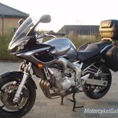 Yamaha FZ6s