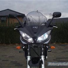 Yamaha FZ6s
