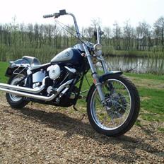 Harley Davidson softail
