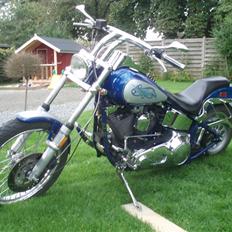 Harley Davidson softail