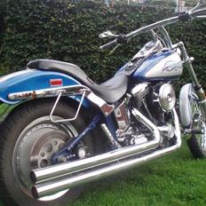 Harley Davidson softail