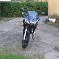 Yamaha FZ6-S "SOLGT"