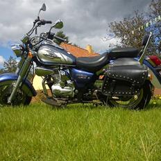 Jinlun 150-5   SOLGT