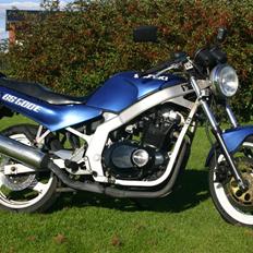 Suzuki GS 500E