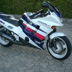 Honda cbr 1000f SOLGT