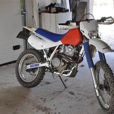 Honda XR 600 SOLGT!