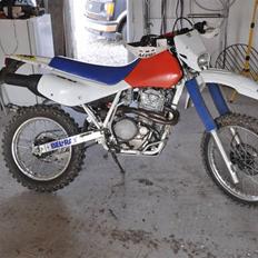 Honda XR 600 SOLGT!