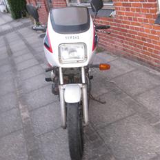 Yamaha XJ600 Projekt