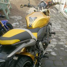 Honda CB600 Hornet pc41