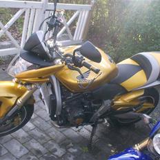 Honda CB600 Hornet pc41