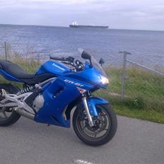 Kawasaki Er-6f
