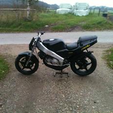 Aprilia Af 125 Evil delight