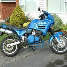 Triumph Tiger 900 *DØD*