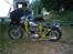 Triumph Tr6