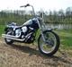 Harley Davidson softail