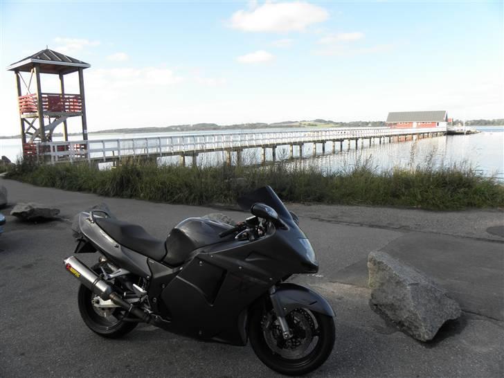 Honda Cbr1100xx Blackbird (solgt) - så er der lys i huset billede 2