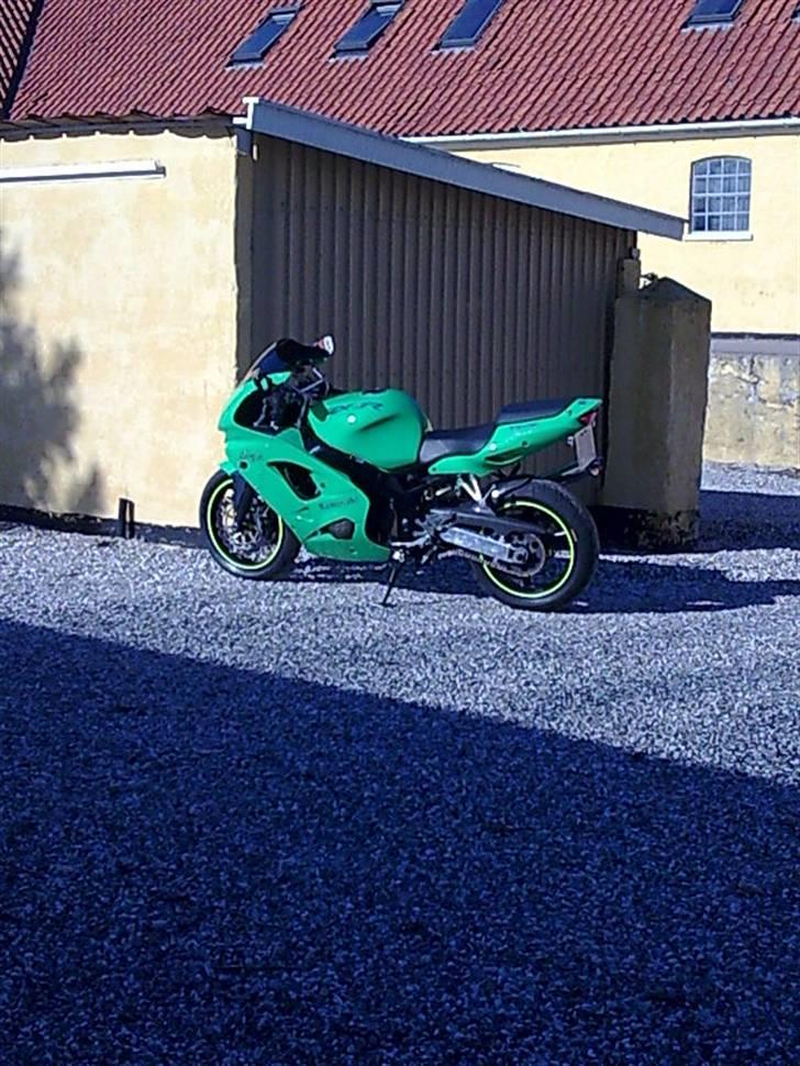 Kawasaki ZX9R billede 2