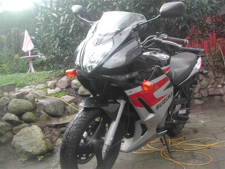 Suzuki GS 500F billede 13