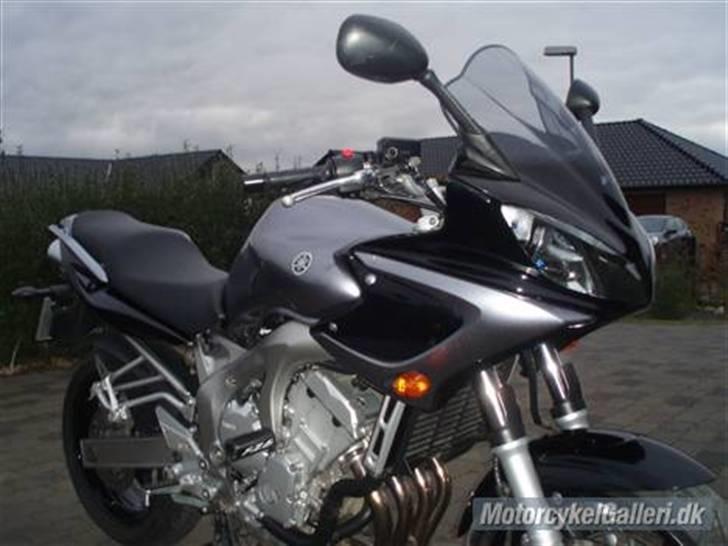 Yamaha FZ6s billede 4