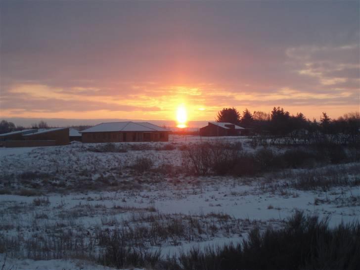 Honda VF 1100 C - Magna V65 - solgt - Solopgang i Skive billede 12