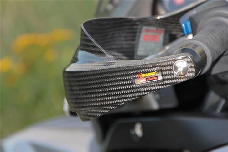 Aprilia Pegaso Trail - Carbon håndbeskyttere billede 1