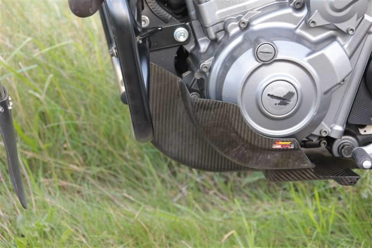 Aprilia Pegaso Trail - Carbon bundskjold billede 3