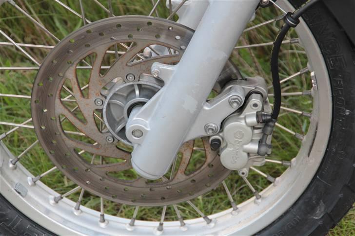 Aprilia Pegaso Trail - Bremboen billede 4