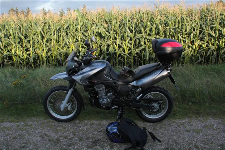 Aprilia Pegaso Trail billede 5