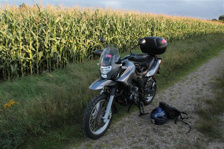 Aprilia Pegaso Trail billede 6