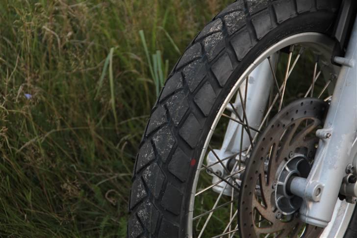 Aprilia Pegaso Trail - Metzeler Tourance billede 7