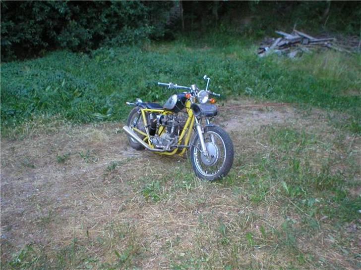 Triumph Tr6 billede 3