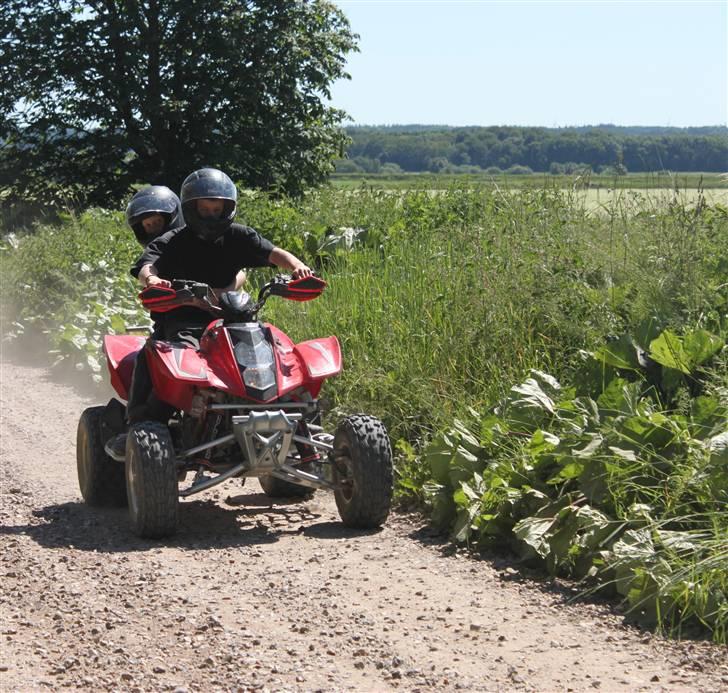 Hyosung TE450R billede 1