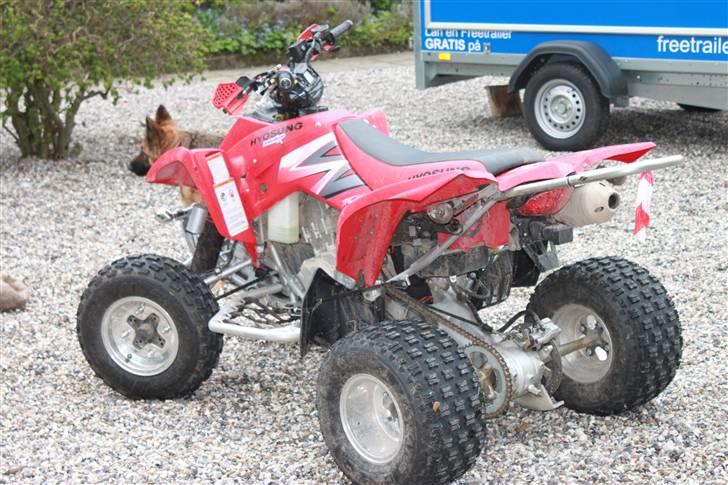 Hyosung TE450R billede 4