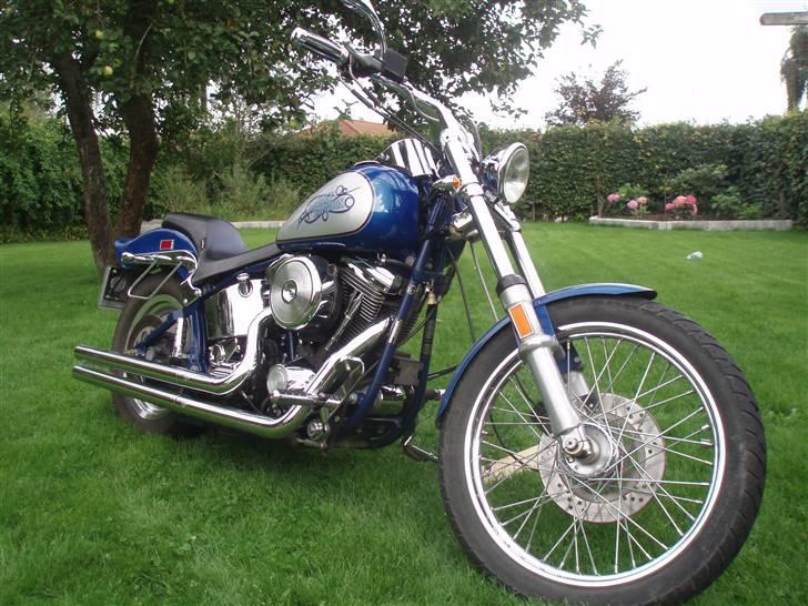 Harley Davidson softail billede 4