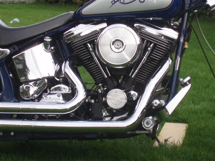 Harley Davidson softail billede 6