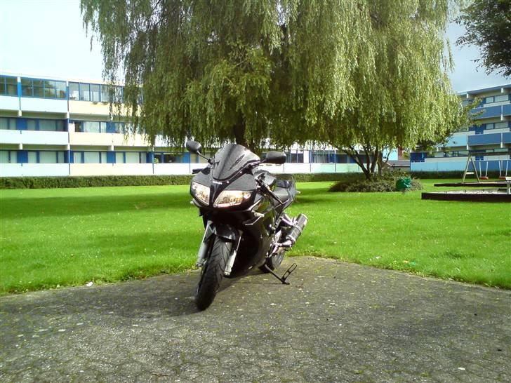 Suzuki SV1000S billede 2