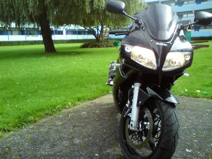 Suzuki SV1000S billede 4