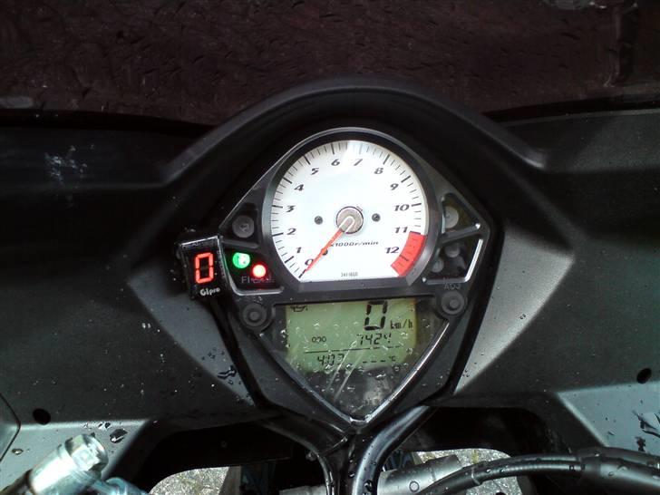 Suzuki SV1000S - Står nu på 16200 (28/6), 10 mdr. efter billede 5