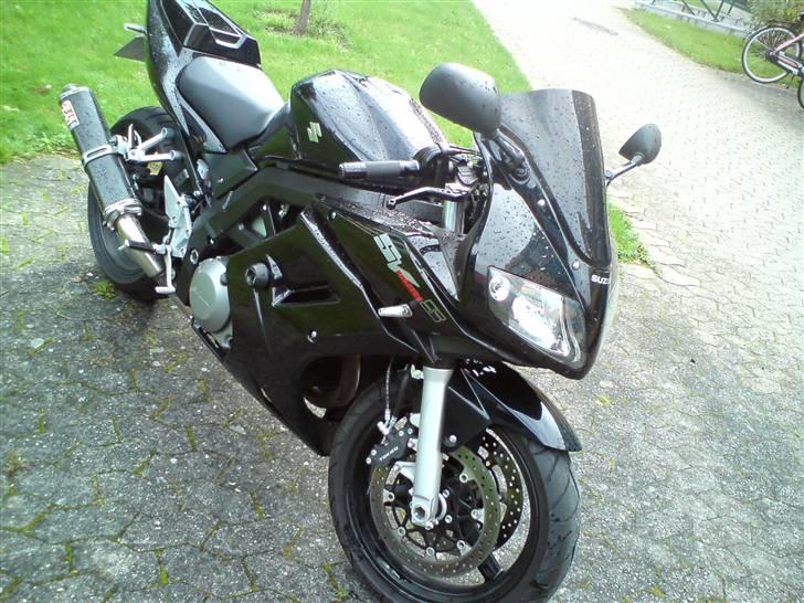 Suzuki SV1000S billede 8