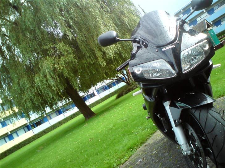 Suzuki SV1000S billede 9