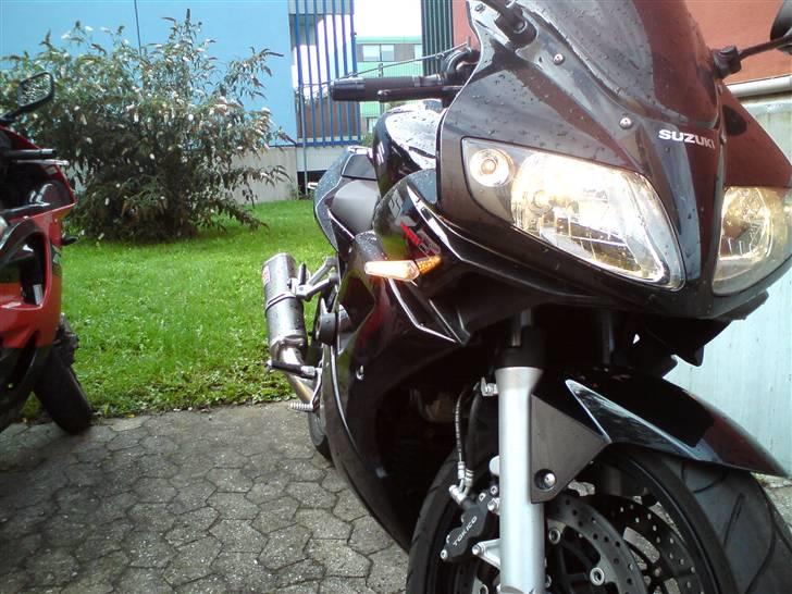 Suzuki SV1000S billede 10