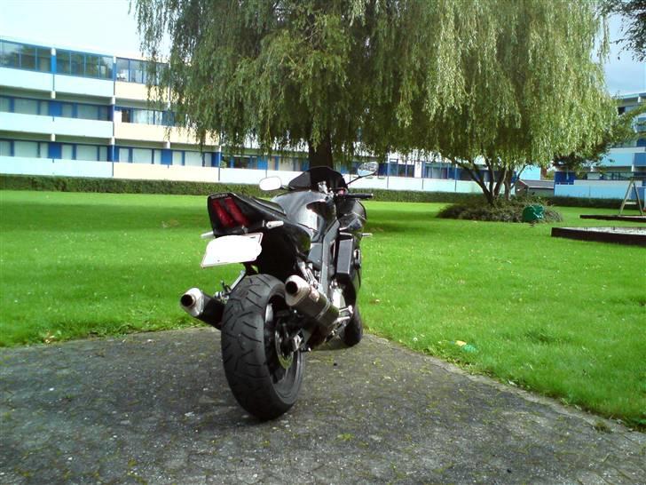 Suzuki SV1000S billede 12