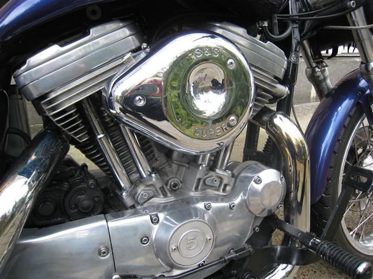 Harley Davidson XL1200 Evo. billede 9