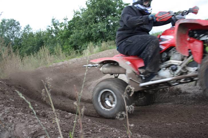 Hyosung TE450R billede 10