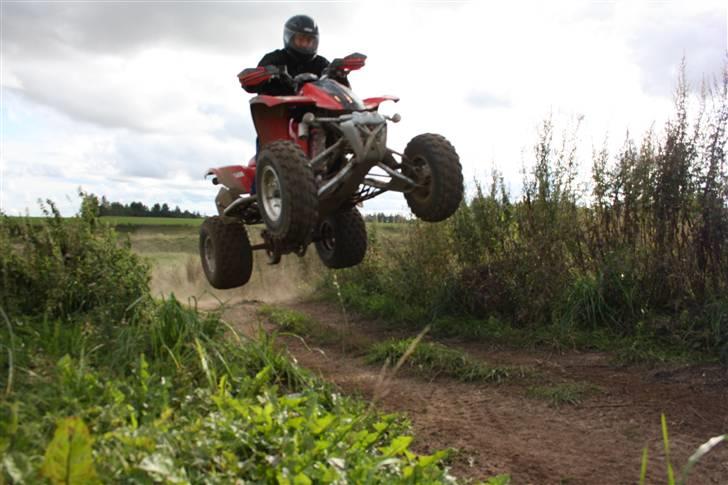 Hyosung TE450R billede 11