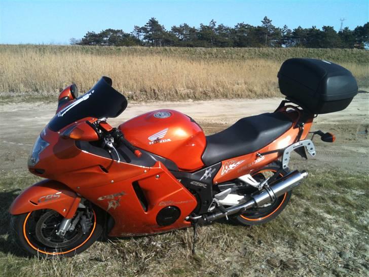 Honda Cbr 1100 blackbird SOLGT billede 4