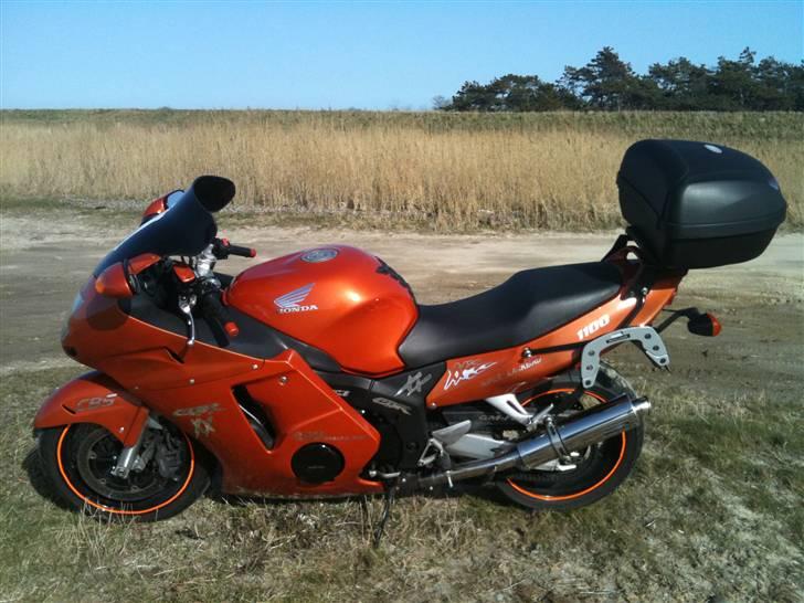 Honda Cbr 1100 blackbird SOLGT billede 5