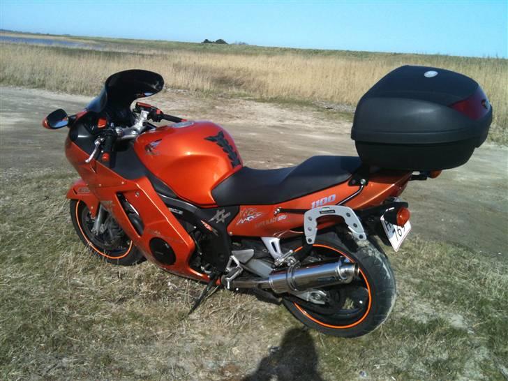 Honda Cbr 1100 blackbird SOLGT billede 7