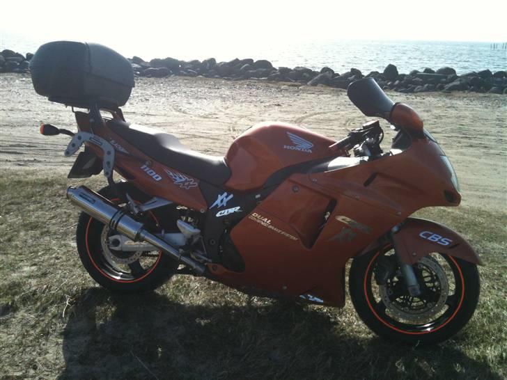 Honda Cbr 1100 blackbird SOLGT billede 11